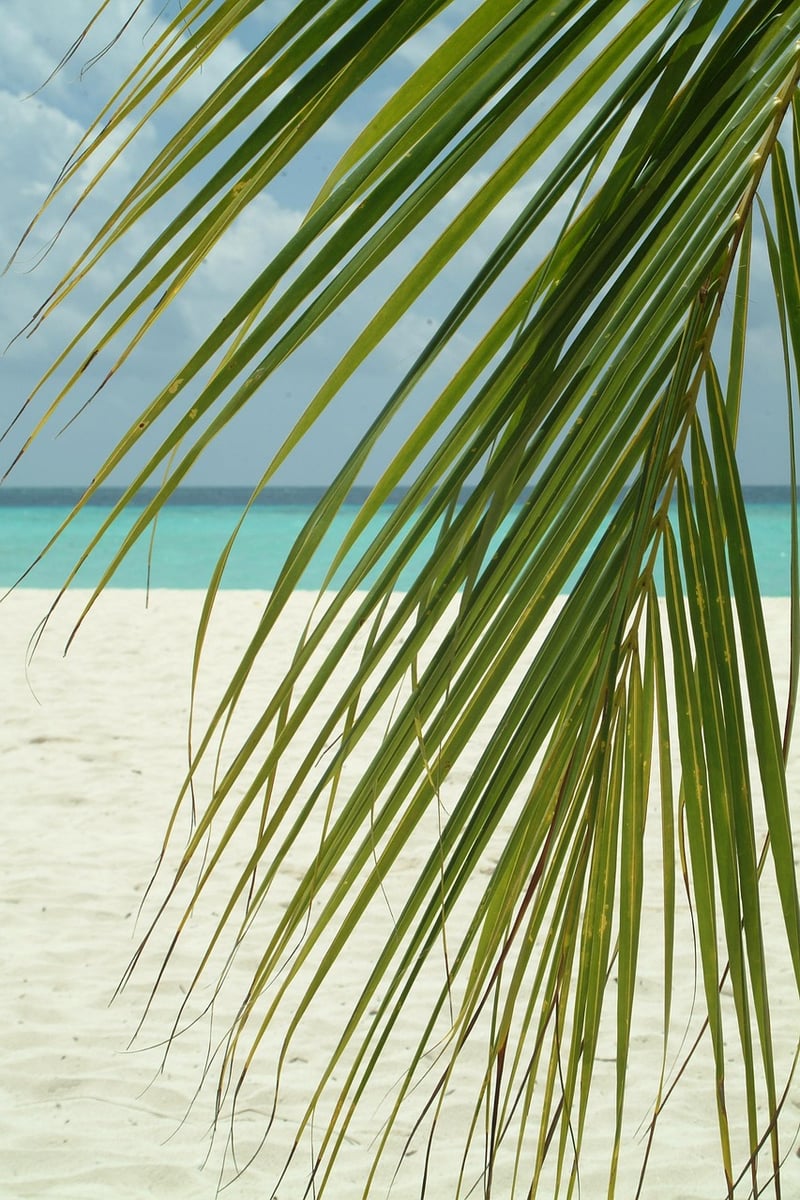 Maldives