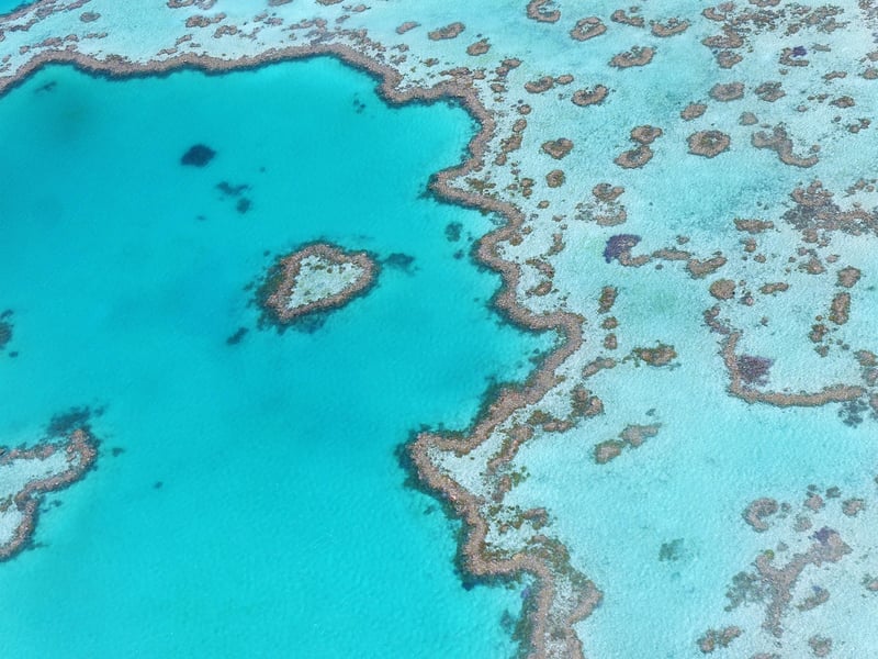 Palm Cove, Australia